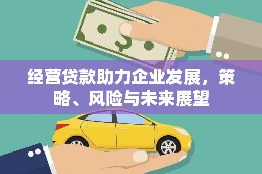 芦淞经营贷款助力企业发展，策略、风险与未来展望