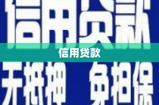 芦淞信用贷款