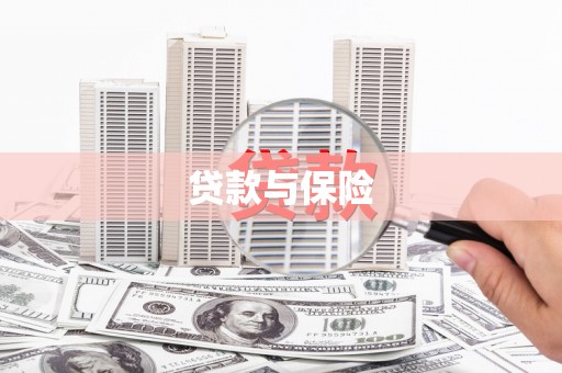 芦淞贷款与保险