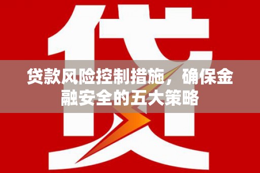 芦淞贷款风险控制措施，确保金融安全的五大策略