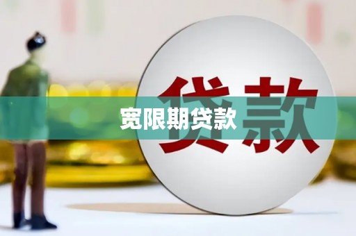 芦淞宽限期贷款
