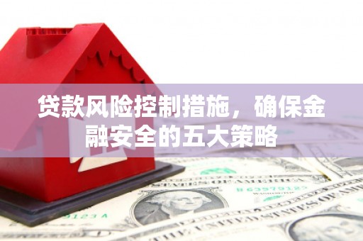 芦淞贷款风险控制措施，确保金融安全的五大策略