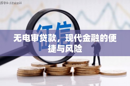 芦淞无电审贷款，现代金融的便捷与风险