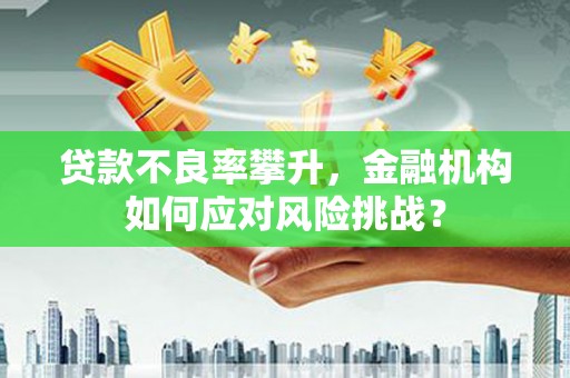 芦淞贷款不良率攀升，金融机构如何应对风险挑战？