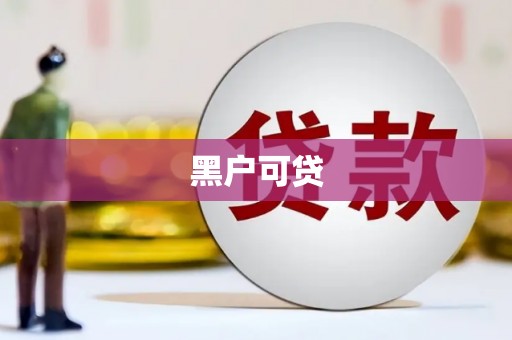 芦淞黑户可贷