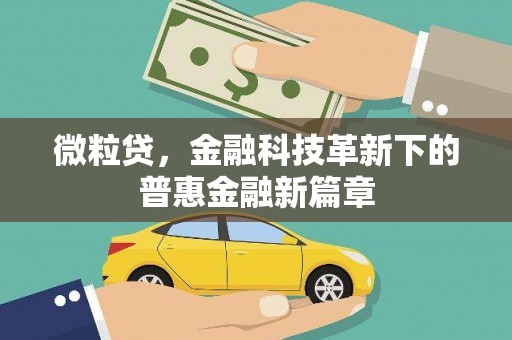 芦淞微粒贷，金融科技革新下的普惠金融新篇章