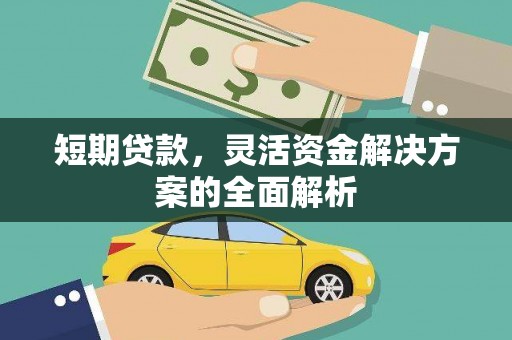 芦淞短期贷款，灵活资金解决方案的全面解析