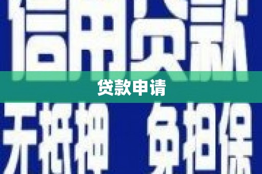 芦淞贷款申请
