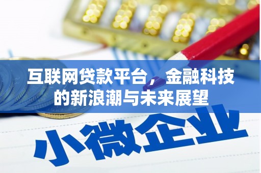 芦淞互联网贷款平台，金融科技的新浪潮与未来展望