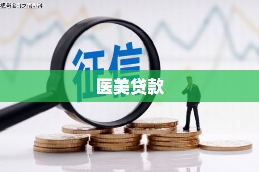 芦淞医美贷款