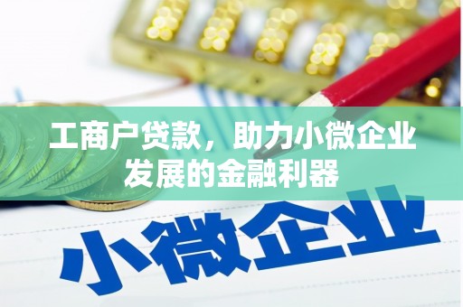 芦淞工商户贷款，助力小微企业发展的金融利器