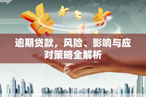 芦淞逾期贷款，风险、影响与应对策略全解析