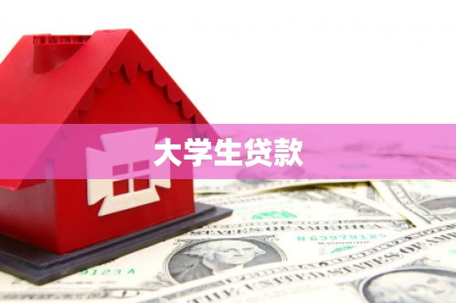 芦淞大学生贷款