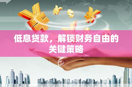 芦淞低息贷款，解锁财务自由的关键策略