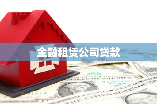 芦淞金融租赁公司贷款