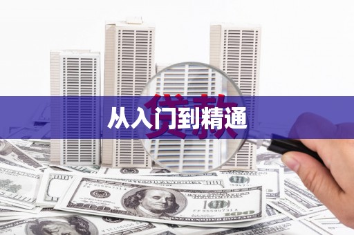 芦淞从入门到精通