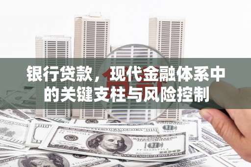 芦淞银行贷款，现代金融体系中的关键支柱与风险控制