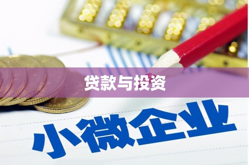 芦淞贷款与投资