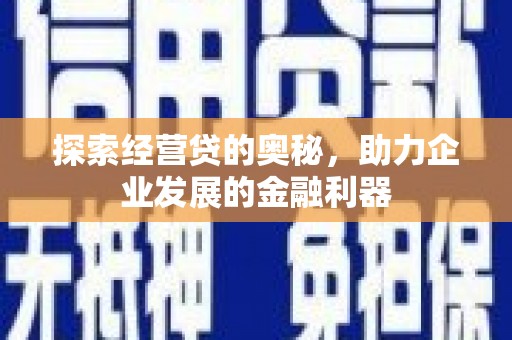芦淞探索经营贷的奥秘，助力企业发展的金融利器