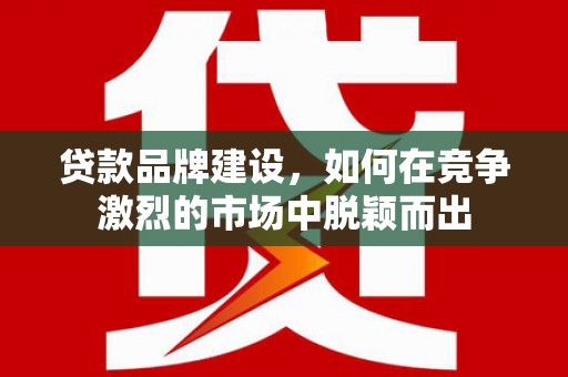 芦淞贷款品牌建设，如何在竞争激烈的市场中脱颖而出