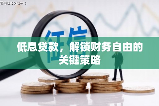 芦淞低息贷款，解锁财务自由的关键策略