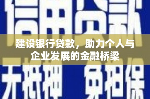 芦淞建设银行贷款，助力个人与企业发展的金融桥梁