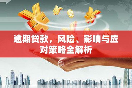 芦淞逾期贷款，风险、影响与应对策略全解析