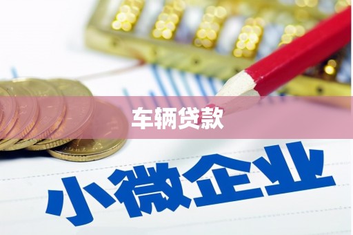 芦淞车辆贷款