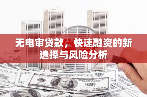 芦淞无电审贷款，快速融资的新选择与风险分析