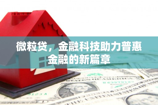 芦淞微粒贷，金融科技助力普惠金融的新篇章