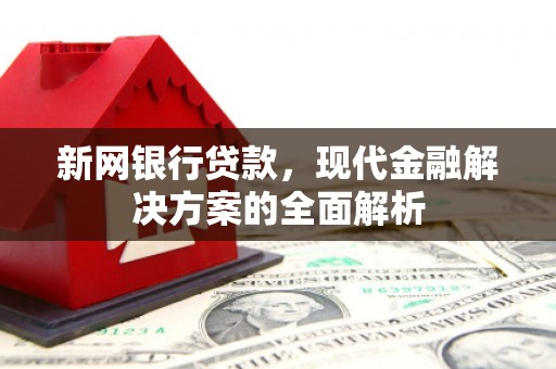 芦淞新网银行贷款，现代金融解决方案的全面解析