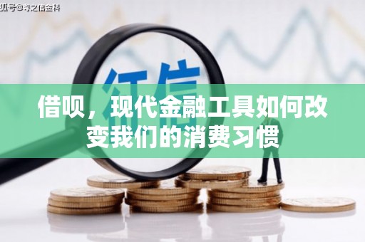 芦淞借呗，现代金融工具如何改变我们的消费习惯