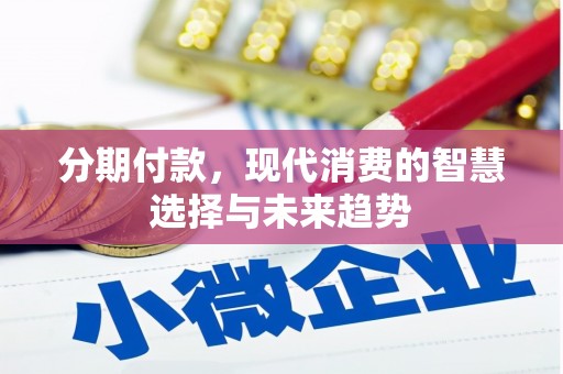 芦淞分期付款，现代消费的智慧选择与未来趋势