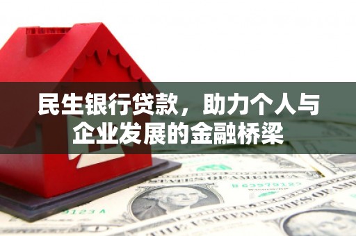 芦淞民生银行贷款，助力个人与企业发展的金融桥梁