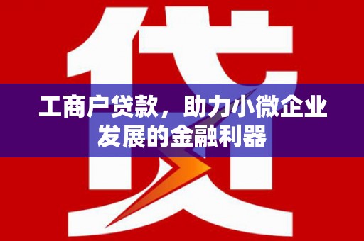 芦淞工商户贷款，助力小微企业发展的金融利器