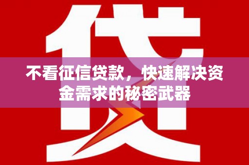 芦淞不看征信贷款，快速解决资金需求的秘密武器