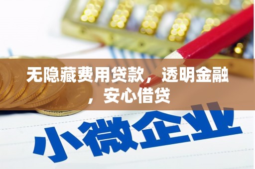 芦淞无隐藏费用贷款，透明金融，安心借贷