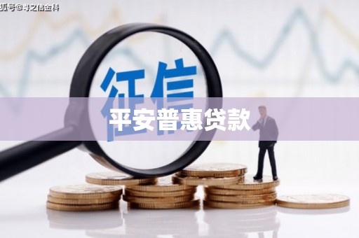 芦淞平安普惠贷款