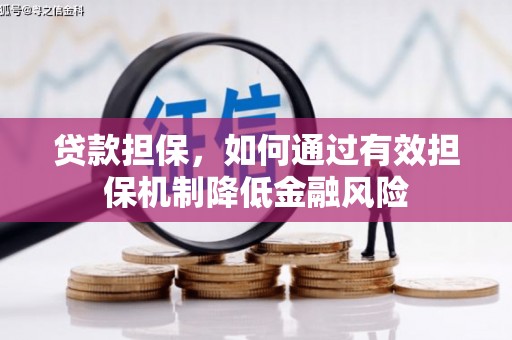 芦淞贷款担保，如何通过有效担保机制降低金融风险