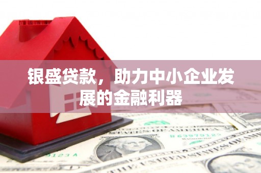 芦淞银盛贷款，助力中小企业发展的金融利器