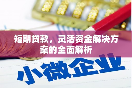 芦淞短期贷款，灵活资金解决方案的全面解析