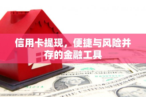 芦淞信用卡提现，便捷与风险并存的金融工具