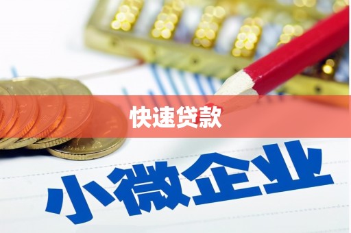 芦淞快速贷款