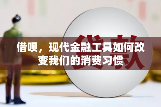 芦淞借呗，现代金融工具如何改变我们的消费习惯