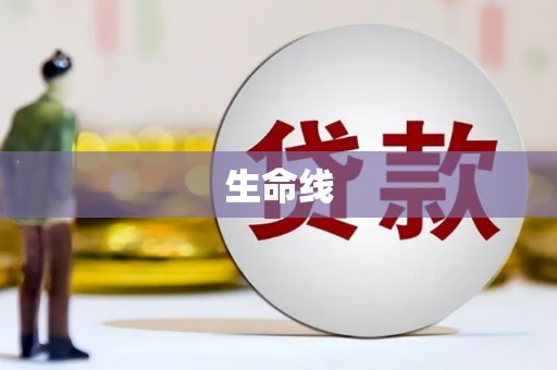 芦淞生命线