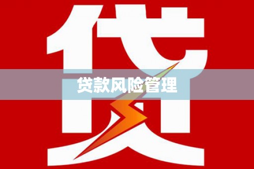 芦淞贷款风险管理