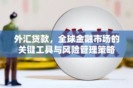 芦淞外汇贷款，全球金融市场的关键工具与风险管理策略