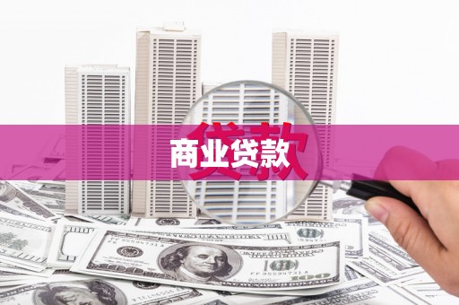 芦淞商业贷款