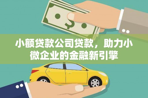 芦淞小额贷款公司贷款，助力小微企业的金融新引擎