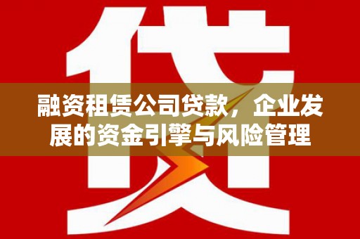 芦淞融资租赁公司贷款，企业发展的资金引擎与风险管理